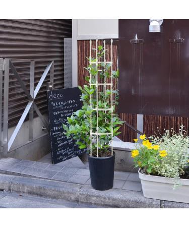 MSUIINT Spliced Plant Climbing Frame 11.42x43.3 In DIY Spliced Trellis Plant Support Climbing Frame Vines Spliced Garden Trellis Metal Support Stand Cylindrical Tower for Climbing Vine Flowers 110cm M - Buy Online on GoSupps.com