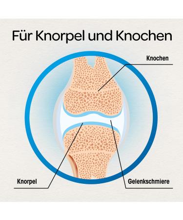 Buy Dr. B hm Joint Complex - 120 Tablets | Dietary Supplement for Cartilage & Joint Health - Buy Online on GoSupps.com