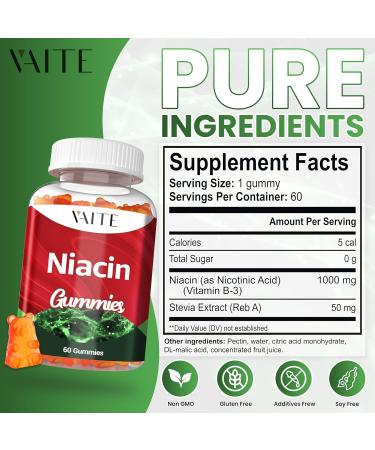 Niacin (Vitamin B3) 1000mg Supplement Antioxidant & Energy Support Nicotinic Acid for Nutrient Conversion & Skin Hydration Sugar-Free 60 Vegan Gummies Non-GMO Daily Chewable - Buy Online on GoSupps.com