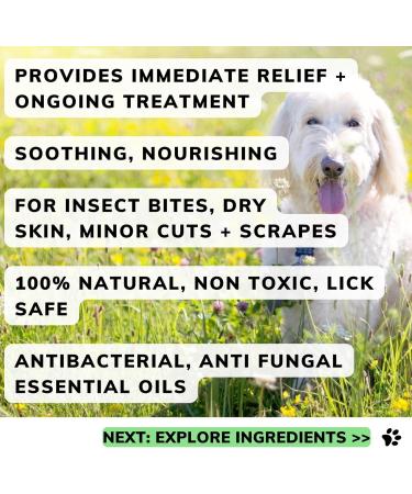 Itchy Allergy Skin Relief Balm for dogs instantly soothes itchy dogs hot spots dry flaky irritated skin allergies natural remedy UK-made moisturises dry elbows and flaky skin 60g tin 60 g (Pack of 1) - Buy Online on GoSupps.com