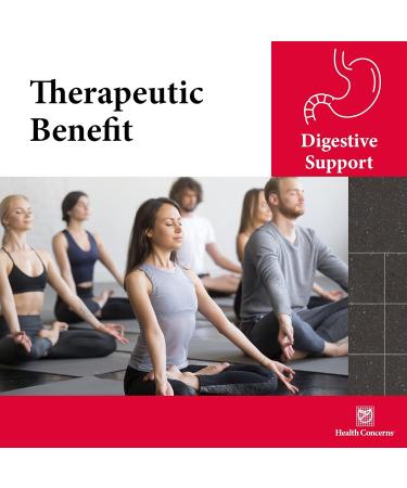 Health Concerns Aloe 22 Digestive Support & Intestinal Cleanse Constipation Bloating & Parasite Detox Supplement Black Walnut Ginger Myrobalan & Aloe Vera Herbal Formula 90 Capsules 90 Count (Pack of 1) - Buy Online on GoSupps.com