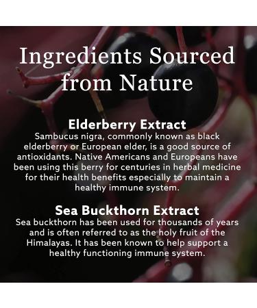 New Nordic Active Immune - Immune Support Tablets | 30 Count - Buy Online on GoSupps.com