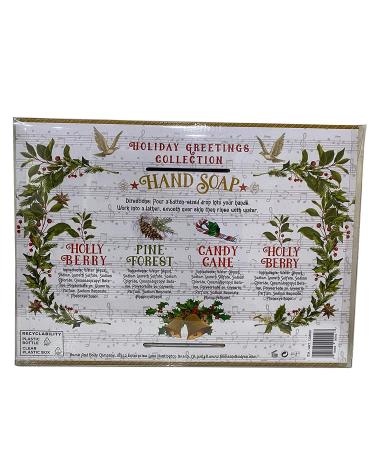 Home & Body Holiday Greetings Collection Hand Soap - 4 Bottles 85 fl oz - Festive Seasonal Scented Soap Set - Buy Online on GoSupps.com