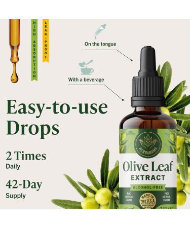 HERBAMAMA Olive Leaf Tincture - Vegan Immune Support with Oleuropein Olive Leaf Extract Liquid Drops - Non-GMO, Alcohol & Sugar-Free Oleuropein Supplement, 42-Day Supply 2 Fl Oz (Pack of 1) - Buy Online on GoSupps.com
