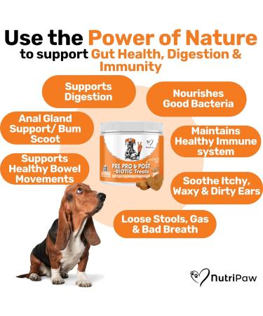 NutriPaw Pre Pro & Postbiotic Digestive Treats For Dogs - Gut Health Sensitive Tums Anal Glands Scooting Loose Stools Smelly Itchy Ears Enzymes Great for all dogs Single Pack - Buy Online on GoSupps.com