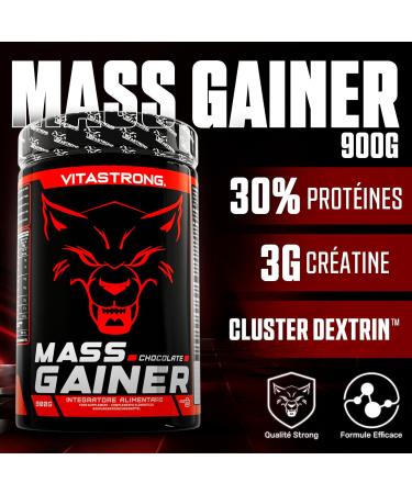 MASS GAINER VITASTRONG - 30% Whey Protein Cluster Dextrin 3g Creatine Monohydrate Powder - Gainer Muscle Gain - Powerful Formula - Premium Quality - Buy Online on GoSupps.com