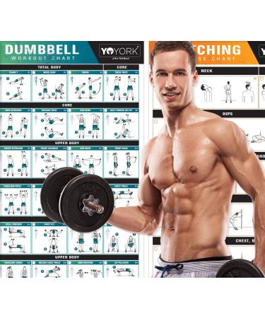 YoYork Stretching & Bodyweight Training Exercise Posters - Home Gym Workout Set with Minimal Equipment - Full Body Workout at Home - 3 Laminated Posters & Workout Cards - Buy Online on GoSupps.com