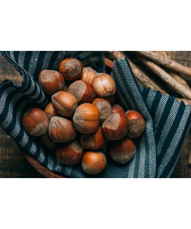 NATURAL FOOD Savoureuses Noisettes En Coque - V g talien Naturel Non Trait Haute Qualit - Riche En Acides Gras Essentiels - pour les Desserts au Muesli ou Dans les Salades - Grand Emballage 10 kg Noisettes 10 kg - Buy Online on GoSupps.com
