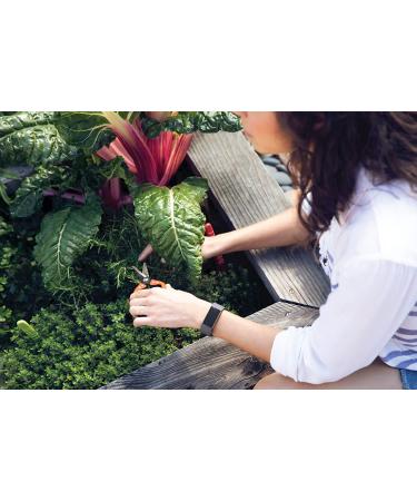 Shop Fitbit Charge 3 Fitness Tracker - Rose GoldBlue Grey | Best Deals & Free Shipping - Buy Online on GoSupps.com