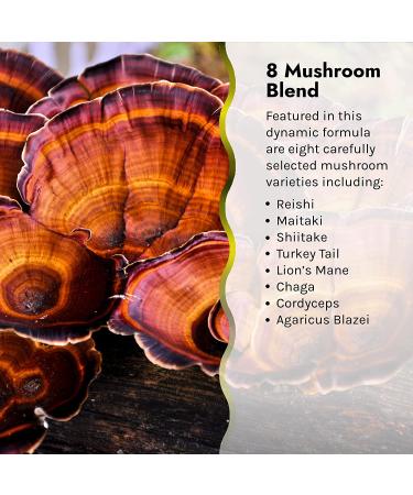 Shop Irwin Naturals Pure Defense Mushroom-8 - Immune Support 60 Soft-Gels - Buy Online on GoSupps.com