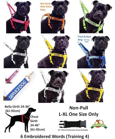 NERVOUS (Give Me Space) Yellow Colour Coded Non-Pull Dog Harness and 60cm 1.2m 1.8m Luxury Neoprene Padded Handle Lead Sets PREVENTS Accidents By Warning Others Of Your Dog In Advance (Harness & 1.8m) Harness & Long 1.8m/72inch Lead - Buy Online on GoSupps.com