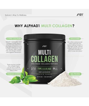 Multi Collagen Protein Powder 200g - Types I, II, III, V & X - Grass Fed Bovine, Wild Caught Fish, Free-Range Chicken & Eggshell - Non-GMO Halal - Pack of 1 - Buy Online on GoSupps.com