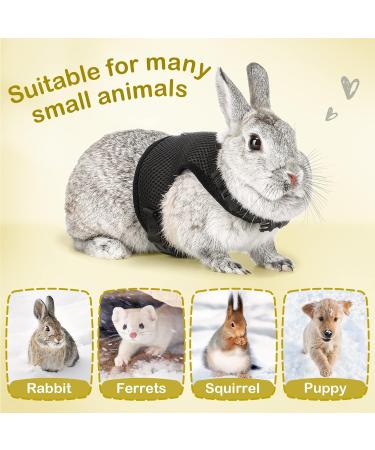 Adjustable Soft Rabbit Dishes with Elastic Leash for Small Pets | Black XS (20-27.5cm) - Best for Kittens & Bunnies - Buy Online on GoSupps.com