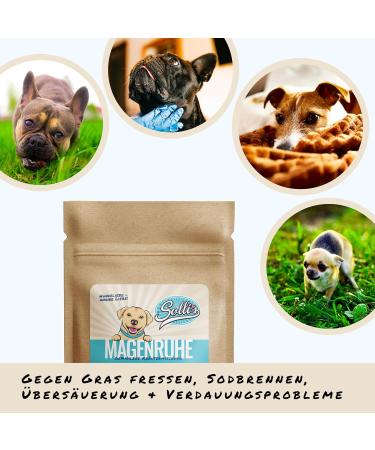 Sollis Digestive Herbs for Dogs | Natural Herbal Digestive Aid Powder | 100% Natural | Supports Gastrointestinal Health & Digestive Comfort | 100g - Buy Online on GoSupps.com