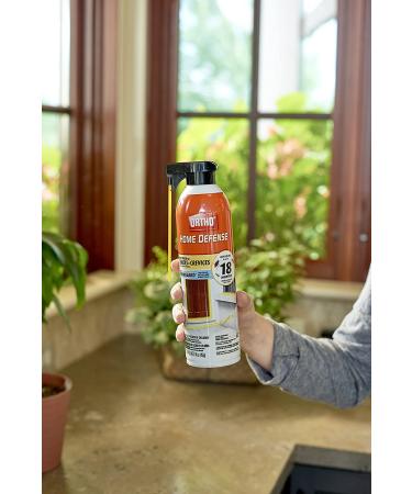 Ortho Home Defense Insect Killer Spray Foam - Kills Ants, Cockroaches, Fleas, and More - Long-Lasting Protection - 16 oz - Buy Online on GoSupps.com