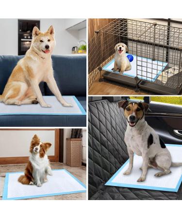 Puppy Pee Pads 6-Layer Design | Leak-Proof Disposable Pet Training Pad | Small Size 13'' x 17'' (20-Count) | For Dogs, Cats, and Rabbits - Buy Online on GoSupps.com