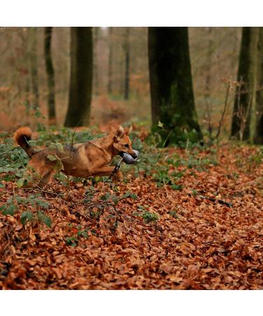 Durable Lonto Dog Feed Bag - Water-Repellent Snack Bag with Zipper & Velcro - 18x7x7 cm - Personalized Name Print - International Shipping - Buy Online on GoSupps.com