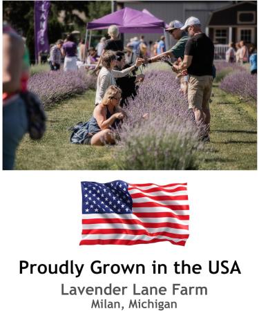 Lavender Hydrosol Floral Water - Distilled on Our Lavender Farm Facial Toner Aromatherapy Linen & Room Mist (32 oz (1/4 Gallon)) - Buy Online on GoSupps.com