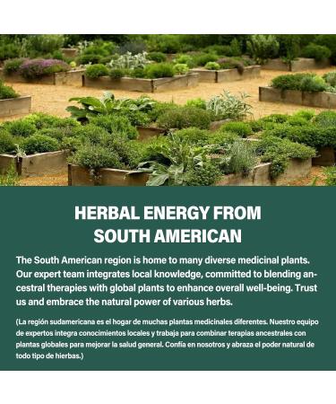 Cocolmeca Bark Immunity & Detox Drop Herbal Extract with Polypodium Leucotomos Sarsaparilla Milk Thistle Supplement Support Detoxification Immune System Digestive Health. 2oz Cocolmeca 2 Fl Oz (Pack of 1) - Buy Online on GoSupps.com