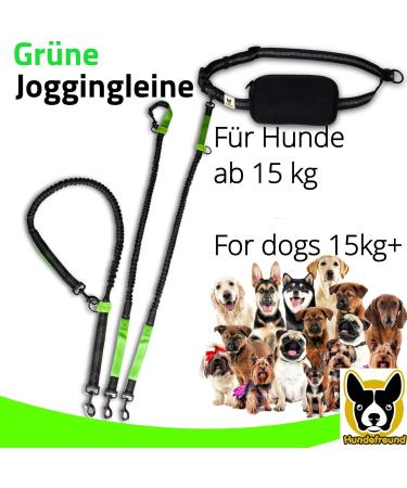 Elastic Reflective Jogging Leash - 120 cm with Adjustable Hip Strap & Bag for Hands-Free Walking Hiking & Running - Up to 200 cm Stretch - Buy Online on GoSupps.com