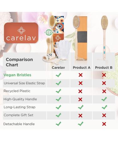 Vegan Dry Brushing Body Brush Set - Exfoliating & Cleansing Brushes for Lymphatic Drainage - Premium Skin Beauty Kit with Handle, Face Brush & Shower Gloves - Buy Online on GoSupps.com