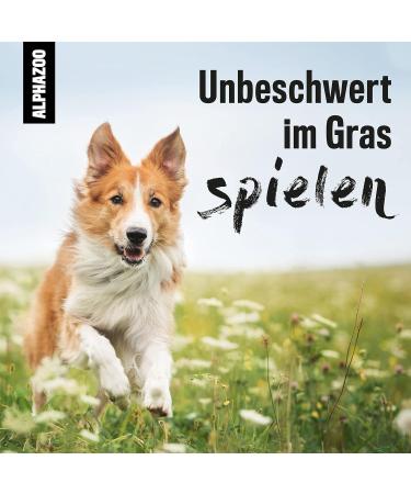 Alphazoo Grazed I Grass Mites Spray for Dogs & Cats - Natural Oil Solution for Itch Relief | 100ml - Buy Online on GoSupps.com