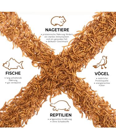 Buy Dried Flourworms 2kg - Protein-Rich Snack for Wild Birds Fish Reptiles & Rodents | International Shipping - Buy Online on GoSupps.com