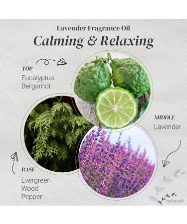 Lavender Essential Oils for Diffusers for Home Nature-derived Lavender Essential Oil Long-Lasting & Family-Friendly Diffuser Oils Scents IFRA Certified Cold Air & Ultrasonic - 4 oz Lavender 4 Fl Oz (Pack of 1) - Buy Online on GoSupps.com