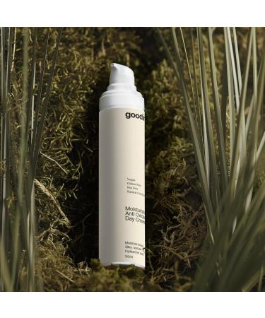 Good Intent Moisturizing Anti Oxidant Day Cream - Skin Moisturizer Hydrating for Dry Mature Skin Gluten Free Nut Free Natural Certified Ingredients Organic Skincare - Buy Online on GoSupps.com