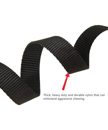 Lampop Dog Training Lead Leash Heavy Duty Strong Nylon Long Line Lead with Soft Padded Handle for Large Medium and Small Dogs Training Running Tracking Camping or Backyard (L15m/50ft Black) L: 15M/50FT Black - Buy Online on GoSupps.com