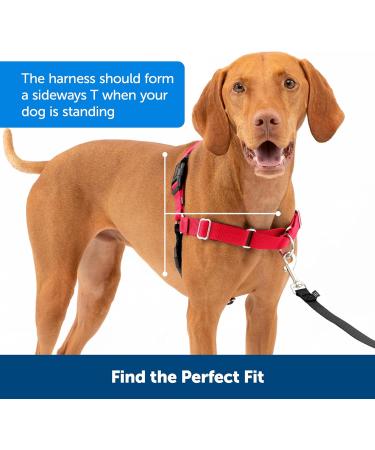 PetSafe Easy Walk Harness | No-Pull Adjustable Fit for Dogs | Includes 1.8m Lead | Black/Beige | Large/Medium - Buy Online on GoSupps.com