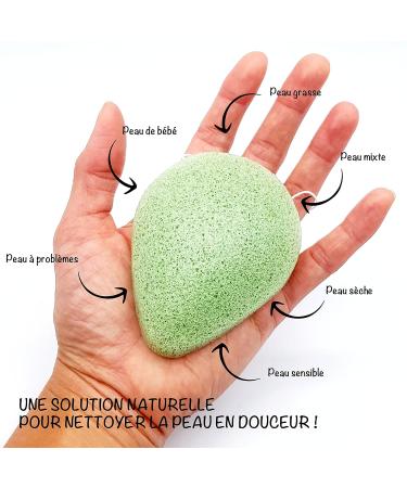 Bio-Konjac Sponge Set with Green Tea | 4 Drop-Shaped Natural Face Sponges | Eco-Friendly Cleansing - Buy Online on GoSupps.com