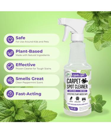 Mighty Mint Carpet Spot Cleaner - Non-Toxic Stain Remover Spray with Natural Peppermint Scent | 16oz | Fast Shipping Worldwide - Buy Online on GoSupps.com