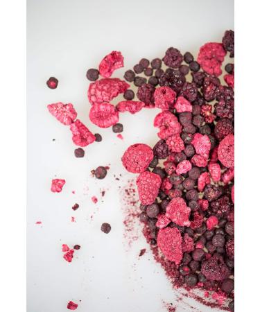 Jeske Sports Supplies Mynatura Gourmet Set 1 I Fruit Worker Raspberry & vinegar + Mynatura Raspberries freezedried 500 g + Mynatura Bio Nut fruit mix chocolate I Snack I fruits - Buy Online on GoSupps.com