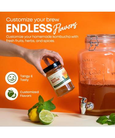 SANUVIA Kombucha SCOBY Starter Culture Champignon de th avec 300 ml de th de d part en verre V gan culture vivante r utilisable Instructions sur l tiquette 100% naturel - Buy Online on GoSupps.com