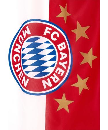 Buy FC Bayern Munich Red-White Flag - Official Logo | Fast International Shipping - Buy Online on GoSupps.com