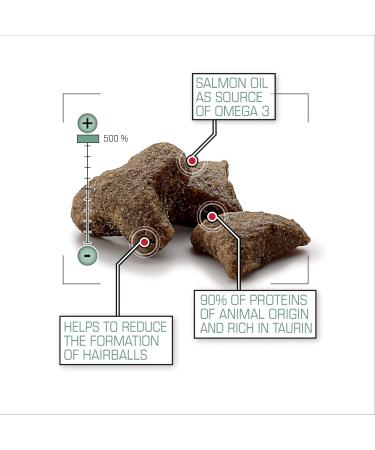 Versele-Laga Ferret Food Complete 10 KG - Buy Online on GoSupps.com