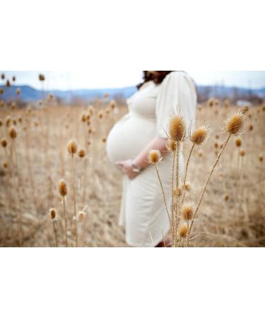 Birds & Bees Teas Peaceful Pregnancy Tea - Nourishing & Safe Prenatal Tea Red Raspberry Leaf - 40 Servings 4.0 oz 4 Ounce (Pack of 1) - Buy Online on GoSupps.com