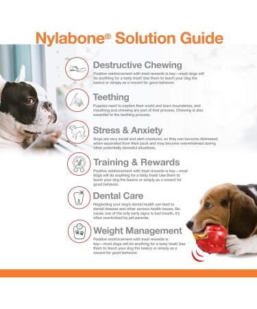 Nylabone Rawhide Alternative Knotted Bone - Beef Flavor for Medium Dogs (up to 16 kg) | Shop Internationally - Buy Online on GoSupps.com