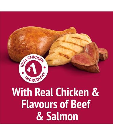 Friskies Party Mix Cat Treats Mixed Grill Crunch with Real Chicken - 454 g Cannister (1 Pack) 454 g (Pack of 1) - Buy Online on GoSupps.com