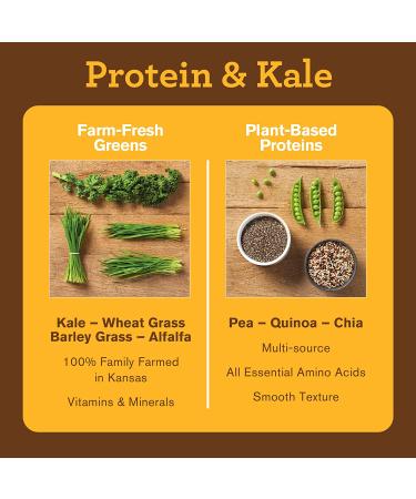 Buy Amazing Grass Vegan Protein & Kale Powder â€“ 20g Organic Protein + 1 Cup Greens, Chocolate Flavor, 15 Servings - Buy Online on GoSupps.com