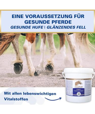 Equipur Organ Powder 3 kg - Buy Online on GoSupps.com