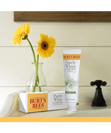 Burt's Bees Purely White Zen Peppermint Toothpaste - 4.7oz (3 Pack) | Natural Flavor, Fluoride Free - Buy Online on GoSupps.com
