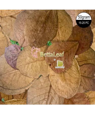 Indian Almond Leaves Leaf (15 25 Pieces) BettaLeaf 50 Grams Pack | 20-25cm. | Best Gold Brown Quality | Fish Tank for Betta Fish Shrimp Crayfish for Fish Healthy & Comfort - Buy Online on GoSupps.com