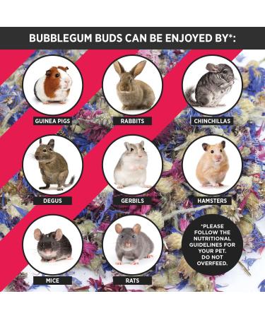 HayPigs! Pig 'n' Mix Bubblegum Buds 50g Guinea Pig Treats - Rabbit Treats Also Great for Rat Hamster or as Tortoise Treat for Boredom Breaker - Guinea Pig Gifts Bubblegum Buds 50.00 g (Pack of 1) - Buy Online on GoSupps.com