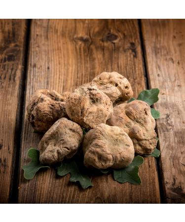 Borgunto Weisser Truffle Butter - 30x80g | Real Marzuolo Tuber Borchii Gluten-Free Preservative-Free - Premium 2023 Production - Buy Online on GoSupps.com