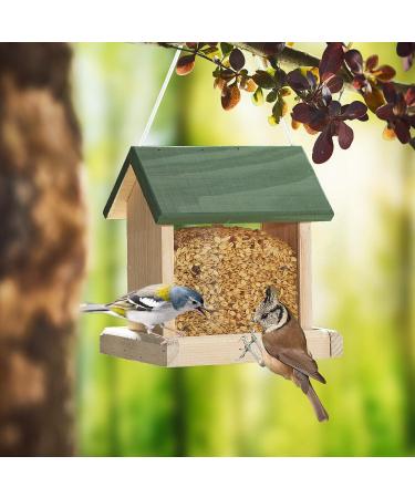 Paul's M hle Wild Bird Fat Food - Premium 10 kg Bag | Best Quality Bird Feed for Wild Birds - Buy Online on GoSupps.com