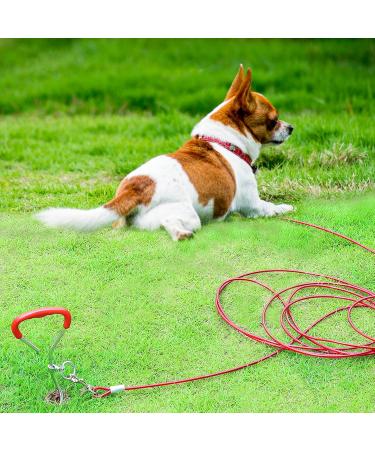 EfuturTime Large Dog Plot with 6m Leash | Durable Base Piral Anchor for Outdoor Camping & Farm | Perfect for Small to Large Dogs - Buy Online on GoSupps.com