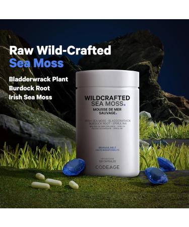 Codeage Wildcrafted Sea Moss Supplement - Irish Sea Moss Bladderwrack Spirulina Superfood Supports Nutrient Intakes With Black Pepper Fruit - 2-month Supply - Non-GMO Gluten-Free - 120 Capsules - Buy Online on GoSupps.com