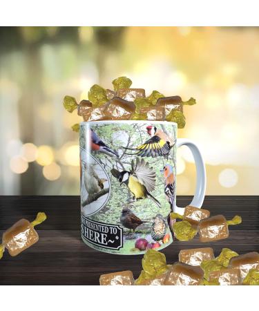 British Garden Birds Personalised Mug with Choice of Sweets Gift - Buy Online on GoSupps.com